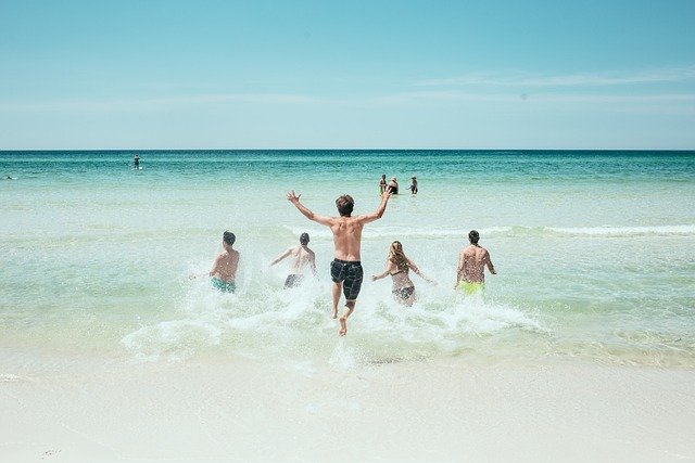Viator Travel
