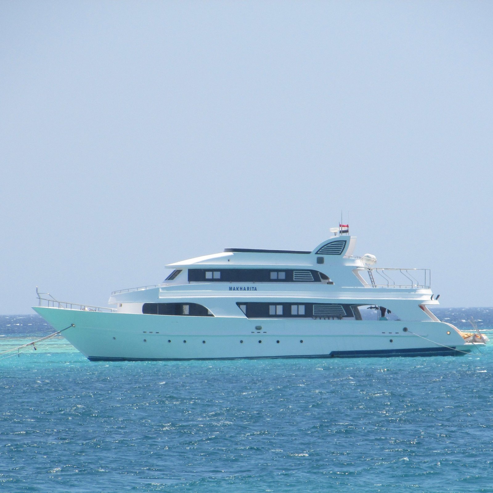 Viator Travel