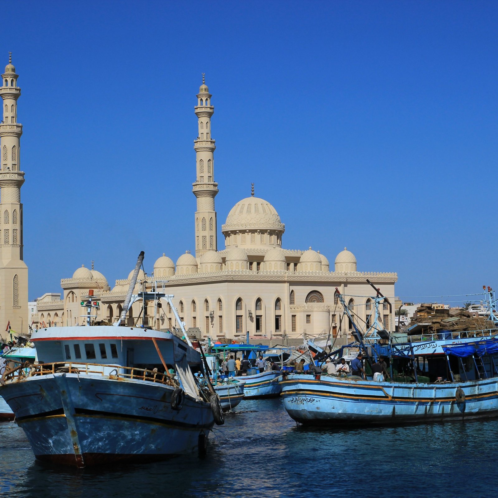 Viator Travel