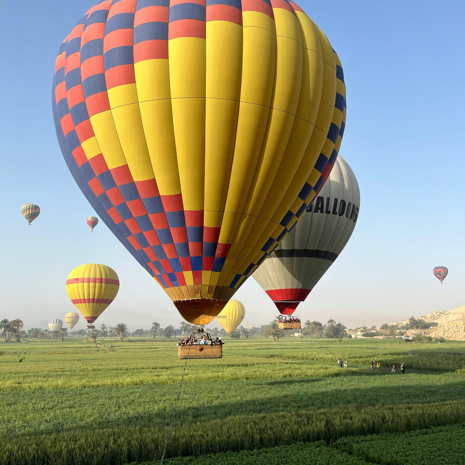 Viator Travel