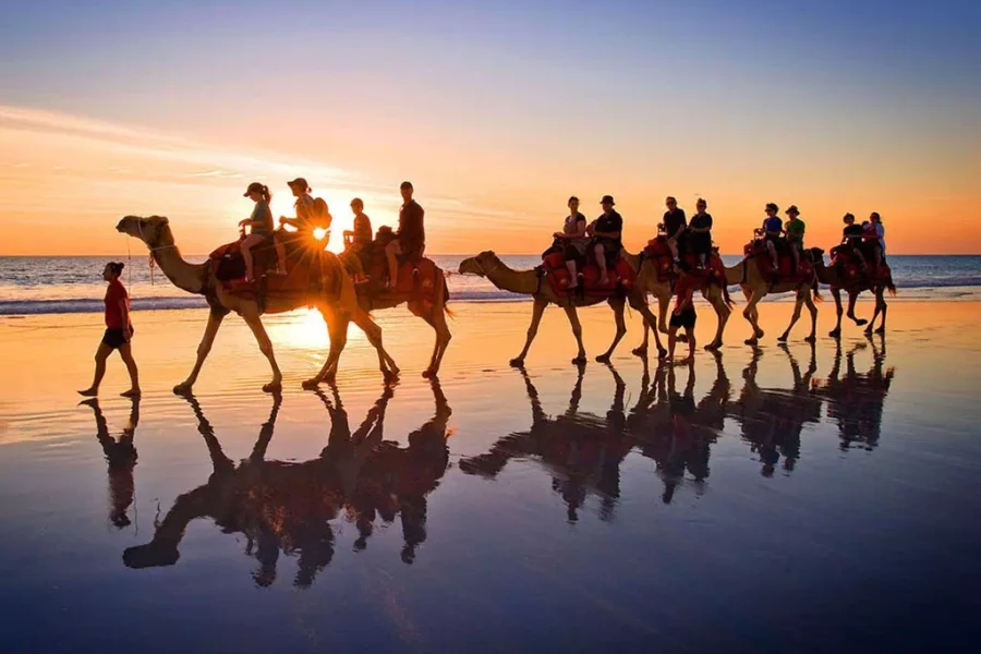 Camel Ride and Sunset at the Lagoon