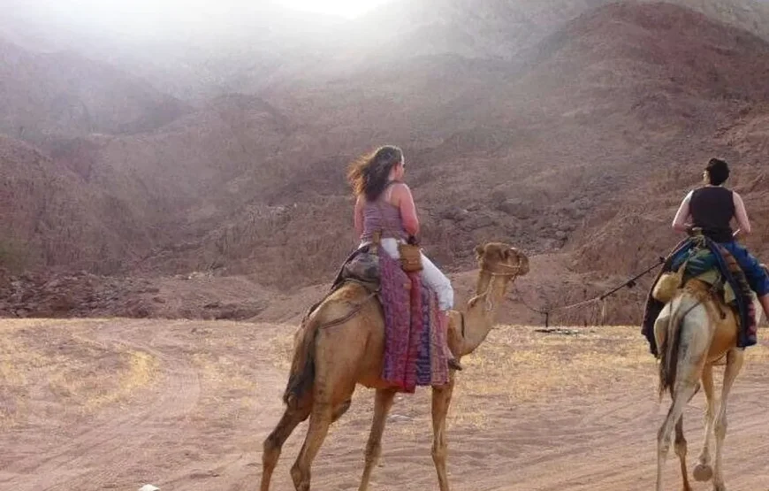 Camel Ride and Sunset at the Lagoon