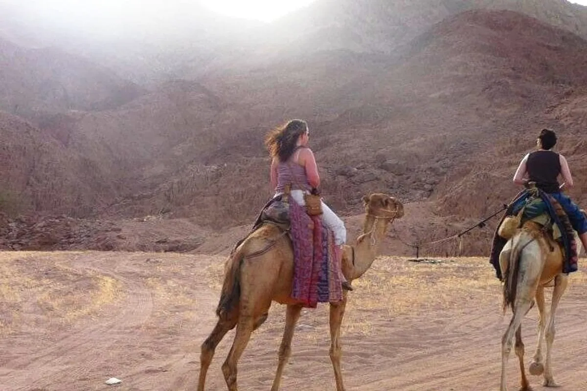 <span>Camel Ride Along the Coastline</span>