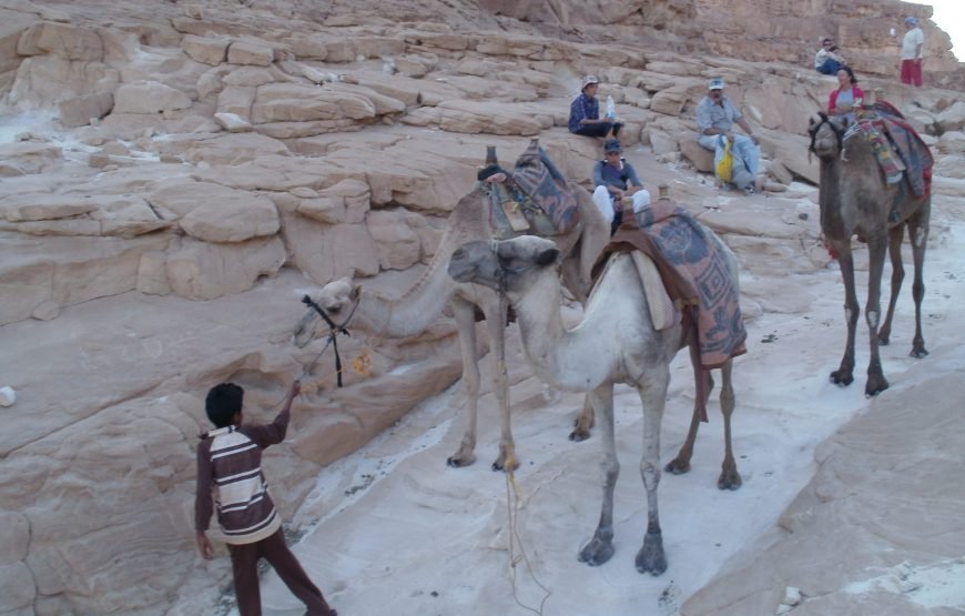 Camel Ride and Sunset at the Lagoon