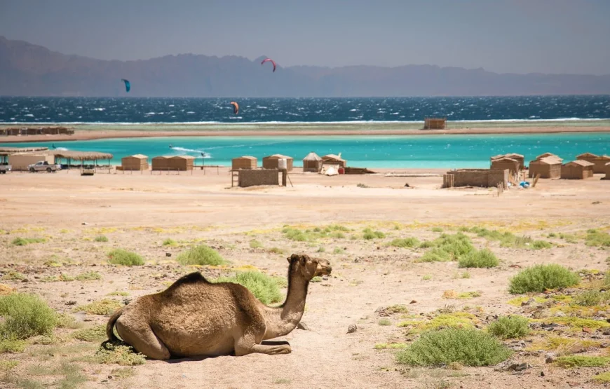 Camel Ride and Sunset at the Lagoon
