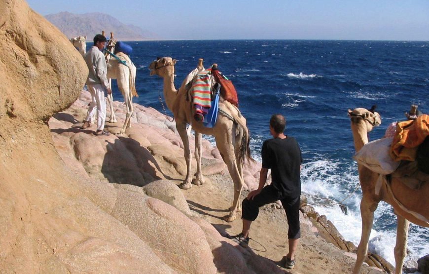 Ras Abu Galum and Blue Lagoon Safari