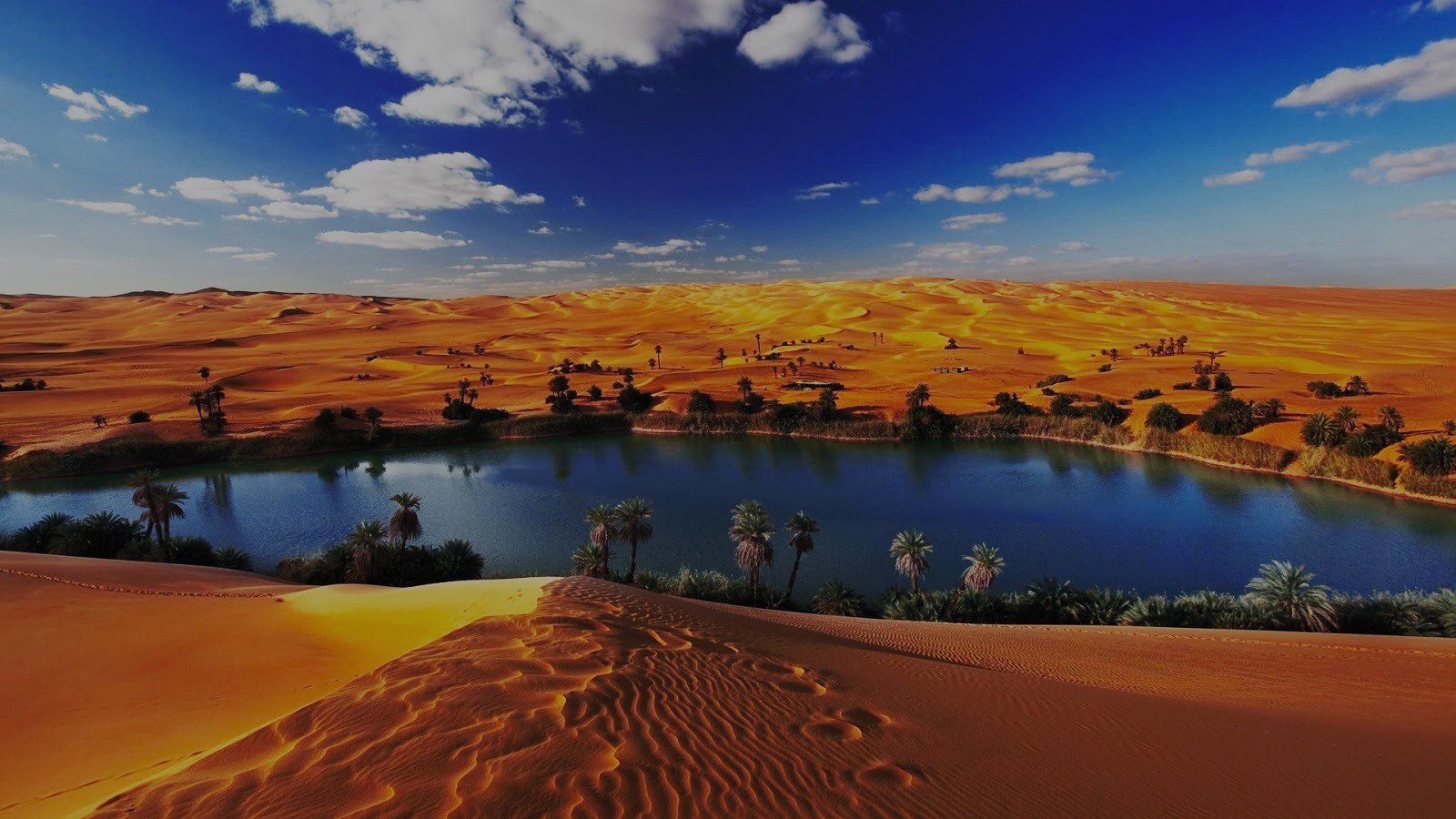 <span>Visit the Fayoum Oasis</span>