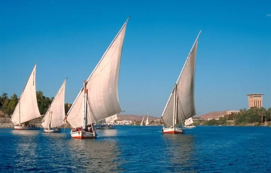 Felucca Ride Around Elephantine Island