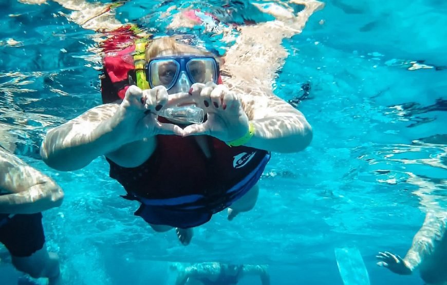 Snorkeling and Diving at Pharaoh Island