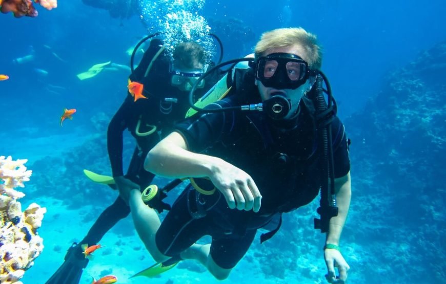 Full-Day Diving Experience: Explore the Wonders of the Red Sea