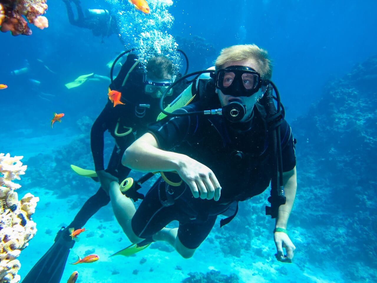 Second Dive