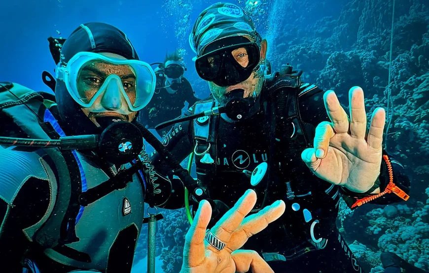 Full-Day Diving Experience: Explore the Wonders of the Red Sea