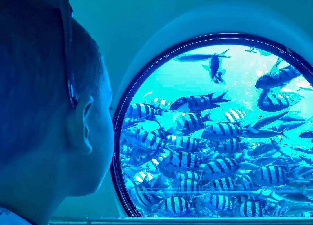 <span> Submarine Journey</span>