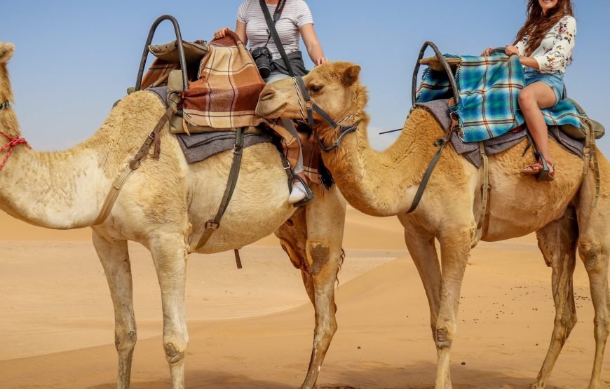 Cairo, Luxor, and Aswan Classic Tour